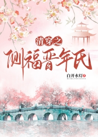 清穿之侧福晋守则134