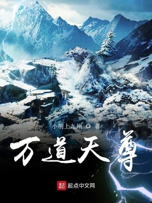 小说万道神尊