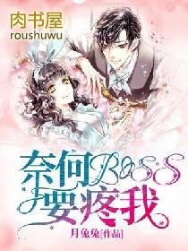 奈何boss要娶我 第二季